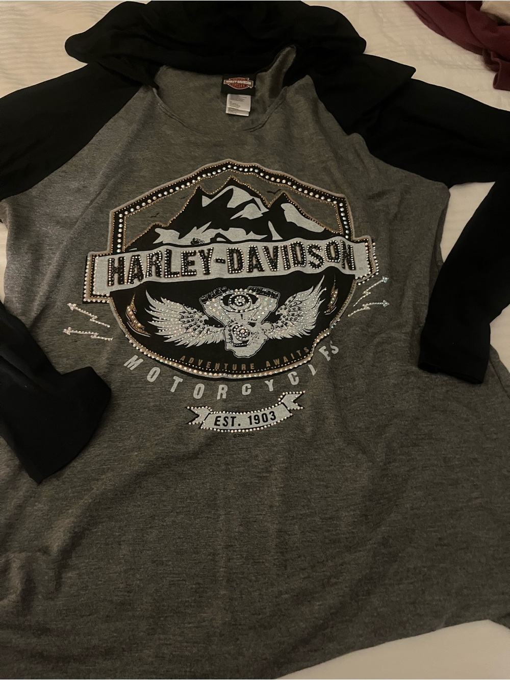 Harley-Davidson Gray Raglan Hoodie with Black Sleeves and Crest Graphic